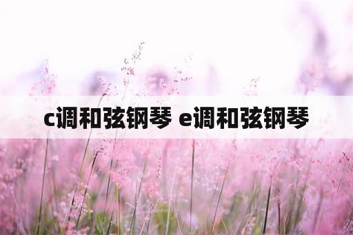 c调和弦钢琴 e调和弦钢琴