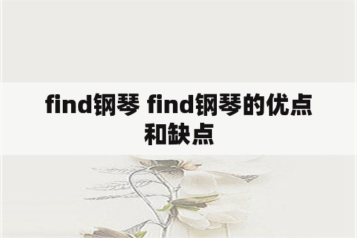 find钢琴 find钢琴的优点和缺点