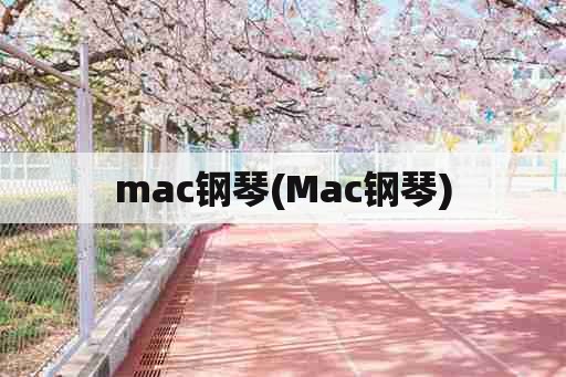 mac钢琴(Mac钢琴)