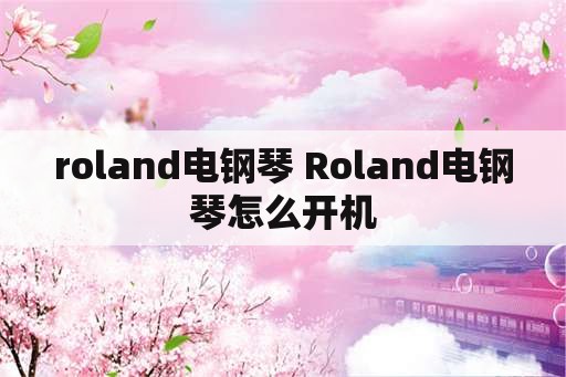 roland电钢琴 Roland电钢琴怎么开机