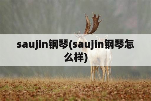 saujin钢琴(saujin钢琴怎么样)