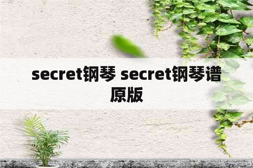 secret钢琴 secret钢琴谱原版