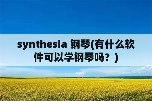 synthesia 钢琴(有什么软件可以学钢琴吗？)