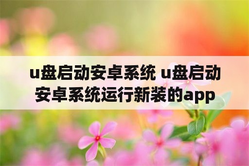 u盘启动安卓系统 u盘启动安卓系统运行新装的app