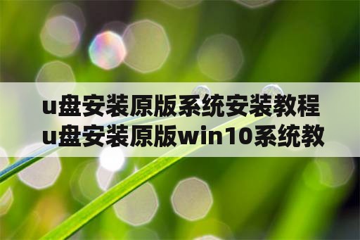 u盘安装原版系统安装教程 u盘安装原版win10系统教程