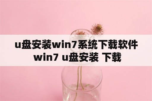 u盘安装win7系统下载软件 win7 u盘安装 下载