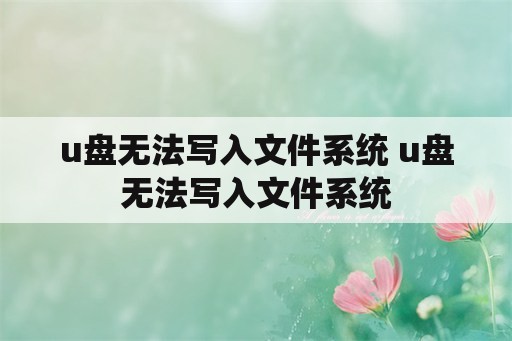 u盘无法写入文件系统 u盘无法写入文件系统