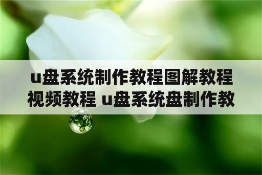 u盘系统制作教程图解教程视频教程 u盘系统盘制作教程