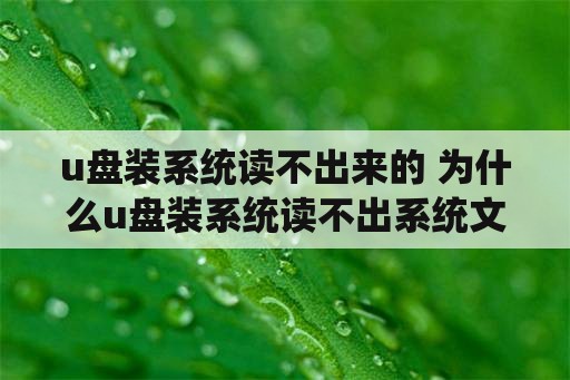 u盘装系统读不出来的 为什么u盘装系统读不出系统文件