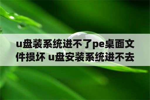 u盘装系统进不了pe桌面文件损坏 u盘安装系统进不去pe界面