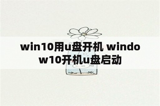 win10用u盘开机 window10开机u盘启动