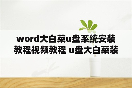 word大白菜u盘系统安装教程视频教程 u盘大白菜装系统教程win7