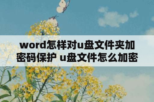 word怎样对u盘文件夹加密码保护 u盘文件怎么加密码