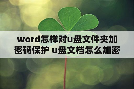 word怎样对u盘文件夹加密码保护 u盘文档怎么加密软件