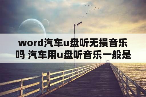 word汽车u盘听无损音乐吗 汽车用u盘听音乐一般是什么格式