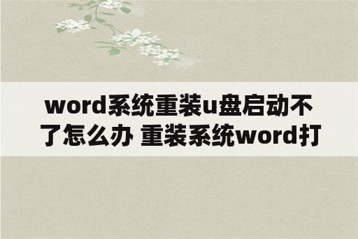 word系统重装u盘启动不了怎么办 重装系统word打不开