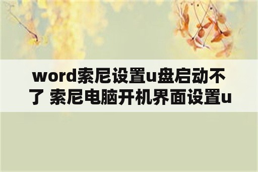 word索尼设置u盘启动不了 索尼电脑开机界面设置u盘启动不了怎么办