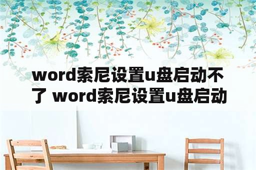 word索尼设置u盘启动不了 word索尼设置u盘启动不了