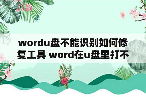 wordu盘不能识别如何修复工具 word在u盘里打不开