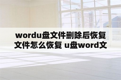 wordu盘文件删除后恢复文件怎么恢复 u盘word文件损坏,怎么恢复