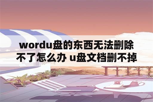 wordu盘的东西无法删除不了怎么办 u盘文档删不掉怎么办