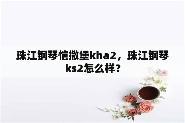 珠江钢琴恺撒堡kha2，珠江钢琴ks2怎么样？