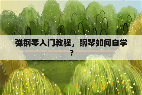 弹钢琴入门教程，钢琴如何自学？