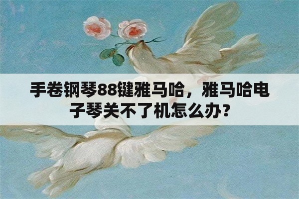 手卷钢琴88键雅马哈，雅马哈电子琴关不了机怎么办？