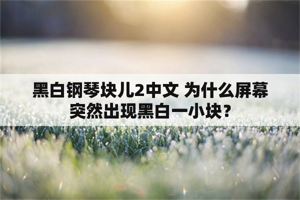 黑白钢琴块儿2中文 为什么屏幕突然出现黑白一小块？