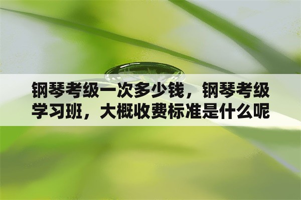 钢琴考级一次多少钱，钢琴考级学习班，大概收费标准是什么呢？