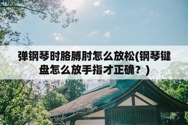 弹钢琴时胳膊肘怎么放松(钢琴键盘怎么放手指才正确？)