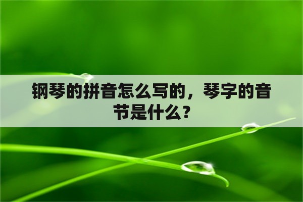 钢琴的拼音怎么写的，琴字的音节是什么？