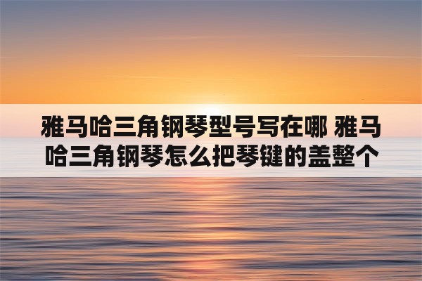 雅马哈三角钢琴型号写在哪 雅马哈三角钢琴怎么把琴键的盖整个拆出来？