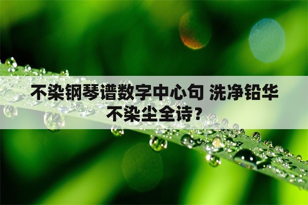 不染钢琴谱数字中心句 洗净铅华不染尘全诗？