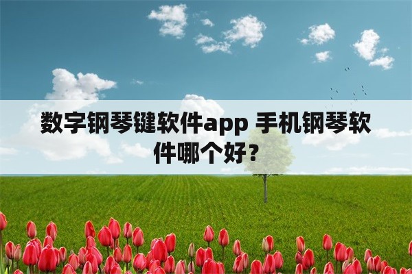 数字钢琴键软件app 手机钢琴软件哪个好？