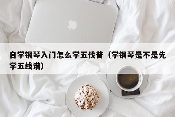 自学钢琴入门怎么学五伐普（学钢琴是不是先学五线谱）