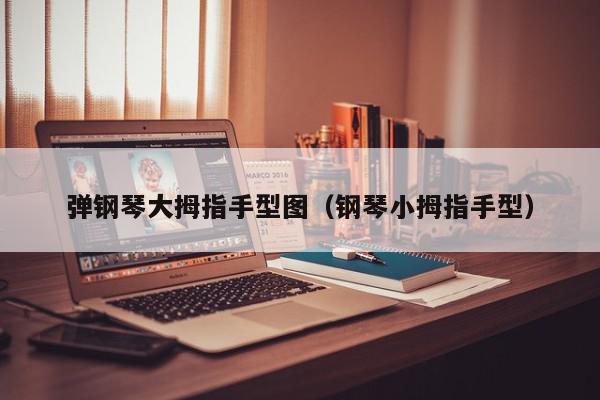 弹钢琴大拇指手型图（钢琴小拇指手型）